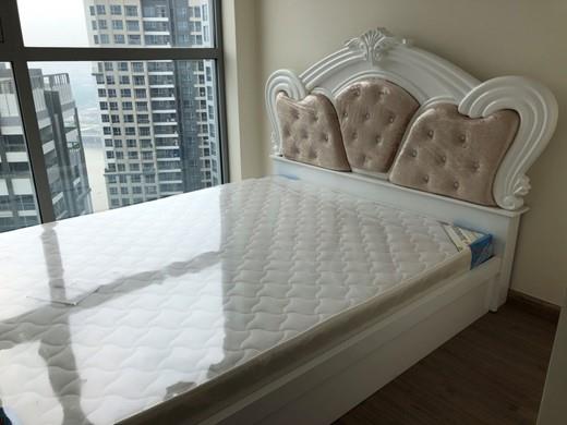 apartment for rent in binh thanh district BT105P2473 (3)